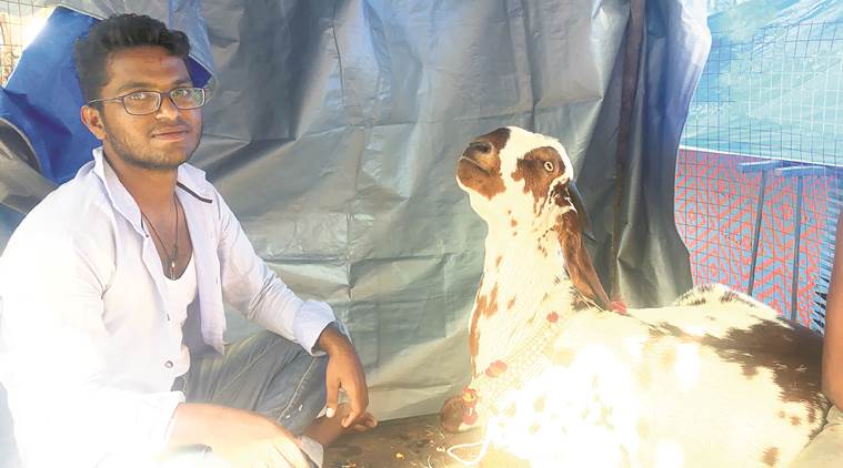 ಅಲ್ಲಾ ವಾಲಾ ಬಕ್ರಾ ಗೆ ಕೋಟಿ ರೂ. ಬೆಲೆ ಇಟ್ಟವನಿಗೆ ಏನಾಯಿತು ನೋಡಿ